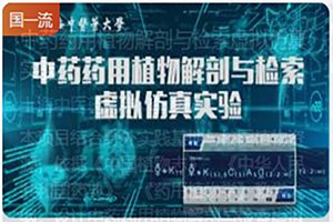 栏目用于追新